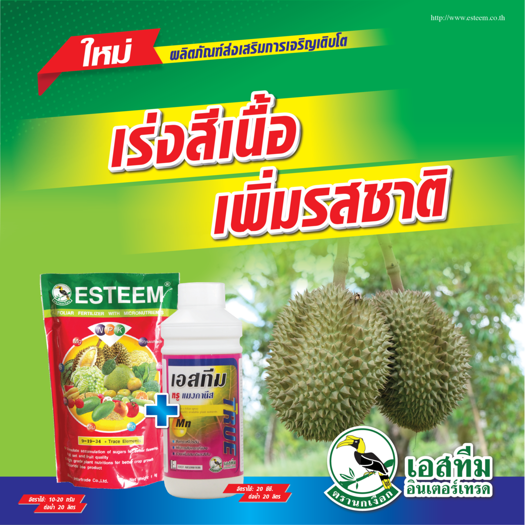 ชุดเร่งสีของเนื้อทุเรียน ปุ๋ยเอสทีม (แดง) + เอสทีม ทรู แมงกานีส